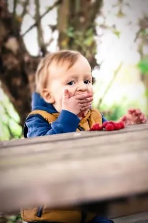 Kleinkind in blauer Jacke sitzt draußen an einem Holztisch und hält sich die Hand vor den Mund, daneben rote Beeren.