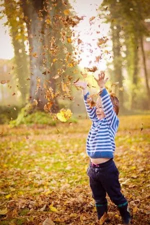 Kind im gestreiften Pullover wirft im Herbst lachend buntes Laub in die Luft, dahinter ein großer Baum.